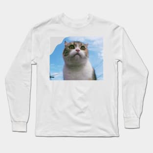 The chubby cute cats Long Sleeve T-Shirt